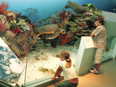 Queensland Museum